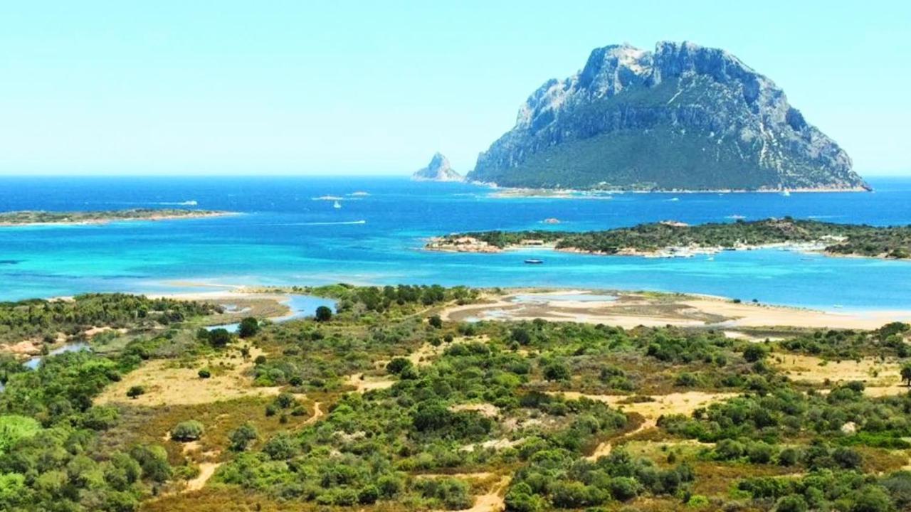 Raffaello * Loiri Porto San Paolo