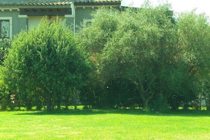 Raffaello *